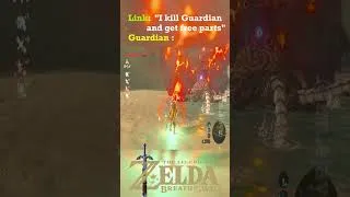 Thumbnail: bro said NOPE #gaming #zelda #botw #breathofthewildclip