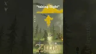 Thumbnail: flight #gaming #zelda #botw #breathofthewildclip