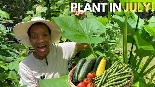 Thumbnail: What to Plant in July | Seeds to Start Now + Prepare for a Big Fall Harvest (Urban Gardening)