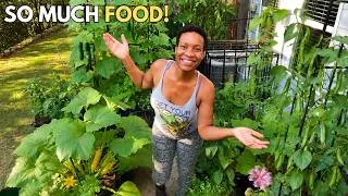 Thumbnail: Garden Tour | This Tiny Patio Is Producing So Much Food (Urban Container Gardening)