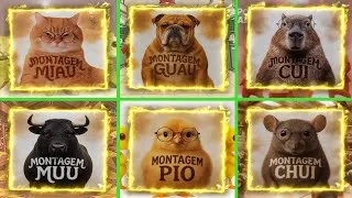 Thumbnail: Montagem Miau vs Montagem Guau vs Montagem Cui vs Montagem Muu vs Montagem Pio vs Montagem Chui