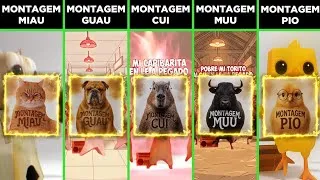 Thumbnail: Montagem Miau vs Montagem Guau vs Montagem Cui vs Montagem Muu vs Montagem Pio
