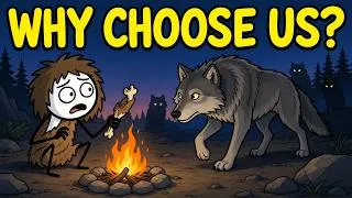 Thumbnail: Why Did Wolves Choose Ancient Humans?
