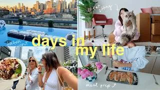 Thumbnail: VLOG! babysitting a cat(!!), shopping with mom & influencer events ⚽️
