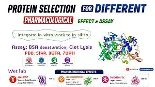 Thumbnail: How to Select the Right Target Protein for Different Pharmacological Effects and Assays | CADD Guide
