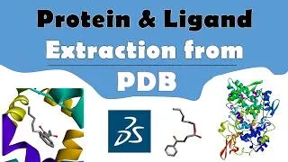 Thumbnail: Protein & Ligand Extraction from PDB File Using Discovery Studio | Complete Tutorial