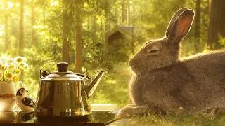 Thumbnail: a cozy day with my forest friends 🐇🐿 baking, nature walk, making cottagecore art