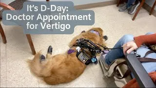 Thumbnail: It's D-Day: Doctor Appointment for VERTIGO | Neurotologist Appointment