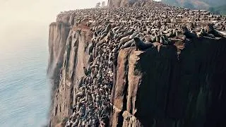 Thumbnail: One in a Billion Moments in Nature #05