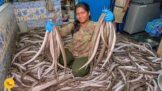 Thumbnail: Tamil Style Protein Wali Longest Fish Fry In Erode