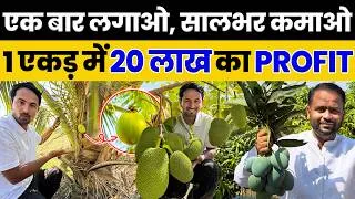 Thumbnail: ₹400 किलो बिकता है ये फल? 😲 | 50 एकड़ Farm का पूरा सच 🌿💰 | Indian Farmer