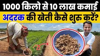 Thumbnail: अदरक का स्वाद कड़क, और कमाई उससे भी धाकड़!💰💸 Ginger Farming Process Part 1 🫚 Indian Farmer