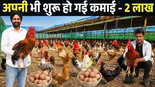 Thumbnail: लंदन से ज्यादा India में कमाता हूँ II Desi Murga Farm II Poultry Business II Desi Murgi Farm