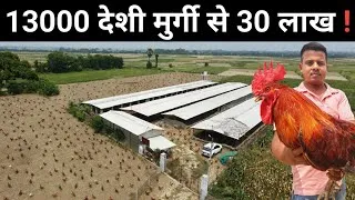 Thumbnail: गांव से देशी मुर्गी पालन कर खड़ा किया बड़ा बिजनेस | Desi Poultry Farm | Desi Murgi Palan Business