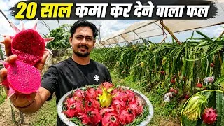 Thumbnail: 12 लाख सालाना शहर की नौकरी छोड़ गांव में कर रहे Dragon Fruit Ki Kheti | Dragon Fruit Farming