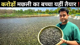 Thumbnail: सबसे सस्ता मछली का बच्चा घर बैठे मंगवाए | Fish Seed Farm | Machli ka bacha kaha milega