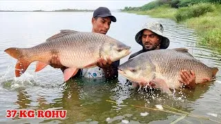 Thumbnail: Biggest Rohu 😯 Bottle Feeder Fishing Tricks | Big Fish Catching Videos | Fishing Videos | Fishing