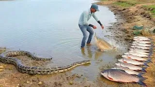 Thumbnail: Feeder Fishing Tips And Tricks | Snake Videos | Feeder Fishing | Fishing | Indian Fishing Video