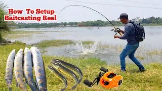 Thumbnail: Snakehead Fishing | Fishing Videos Big Fish | Snakehead Fish Catching Techniques | Big Fish Hunting