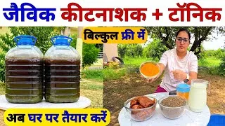 Thumbnail: खेती में पावरफुल ऑर्गेनिक कीटनाशक टॉनिक | Organic insecticide | organic fertilizer | Kapoor ka upyog