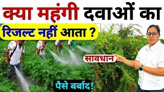 Thumbnail: क्यों महंगी दवाओं का रिजल्ट नहीं मिलता है ?| Sabji ki kheti | dhan ki kheti | Humic acid fertilizer