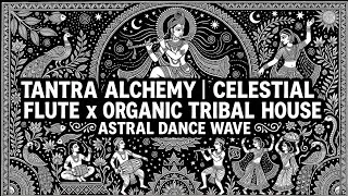 Thumbnail: TANTRA ALCHEMY | Celestial Flute x Organic Tribal House (110 BPM Astral Dance Wave)