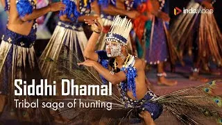 Thumbnail: Siddi Dhamal | Tribal Saga of Hunting