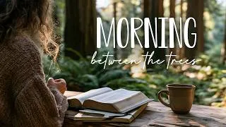 Thumbnail: Morning Between the Trees 🌿 Peaceful Worship for Prayer & Scripture