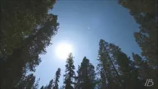 Thumbnail: Alan Watts - What Is This
