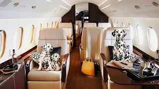 Thumbnail: Top 10 Most Popular Private Jets in the World