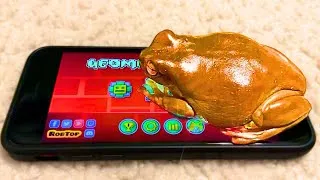 Thumbnail: How To Take A Frog Off Of Geometry Dash 
