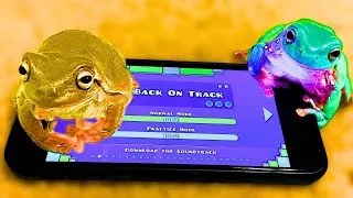 Thumbnail: My Frogs Beat Back On Track 