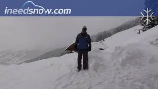 Thumbnail: Powder snow in Saalbach-Hinterglemm