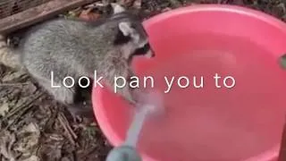 Thumbnail: Badacat - look pan you to