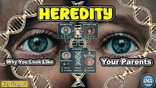 Thumbnail: Heredity Explained | KS3 Biology