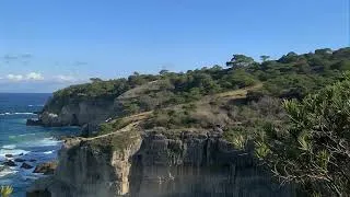 Thumbnail: Clam Music 14 mins (Great for Relaxing)