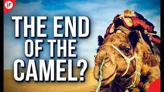 Thumbnail: When the Desert's Toughest Survivor Finally Breaks