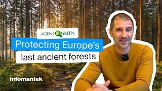 Thumbnail: Protecting Europe’s last ancient forests | Agent Green x Infomaniak