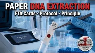 Thumbnail: Paper-Based DNA Extraction Explained | Principle, Protocol, Applications, Advantages & Limitations