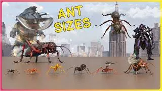 Thumbnail: How BIG are ANTS 🕷️ Real vs Movie GIANT Ants - EPIC Size Comparison 3D
