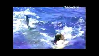 Thumbnail: Young Girl Attacked By White Shark