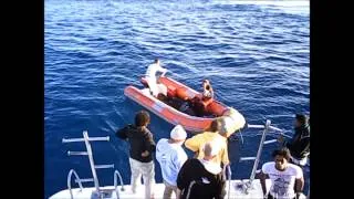 Thumbnail: Death of French divers on the reef Abu Kafan 30.11.2011 / Diving Accident