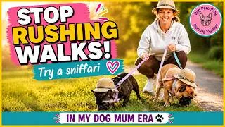 Thumbnail: Is your dog bored and destructive? Try a sniffari! #dogcoach #dogtraining #dogtrainingtips  #dogmom