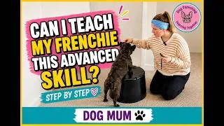 Thumbnail: I didn't expect this training to be this hard #dogtrainer #dogcoach #dogtrainingjourney #dogmoments