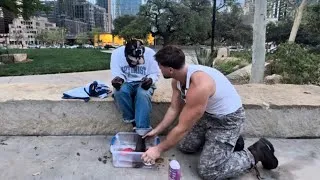 Thumbnail: We all Walk on the Same Ground