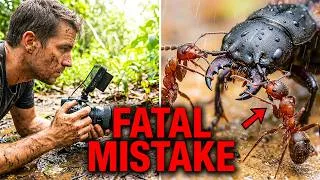 Thumbnail: I Filmed an Ant Colony That Never Came Back... They Walked STRAIGHT Into Enemy Territory