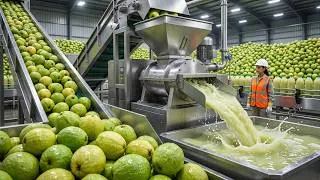 Thumbnail: How Millions of Guavas Become Juice Every Day | Inside a Mega Factory (Full Process)