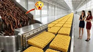 Thumbnail: Inside the Factory Turning Millions of Earthworms into High-Protein Instant Noodles | Full Process