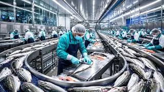 Thumbnail: Inside the Modern Fish Processing Factory: From Fresh Catch to Frozen Packs