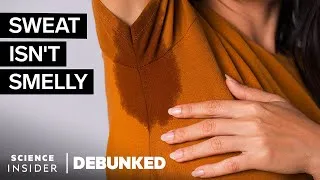 Thumbnail: Dermatologists Debunk 8 Body-Odor Myths | Debunked | Science Insider